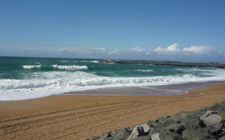 Le Cocon D'Aguilera A 200M Du Stade Et 2Km De La Plage 安格雷 外观 照片